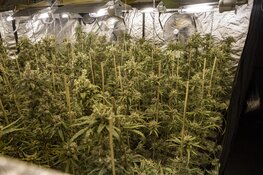 Hennepkwekerij in garagebox gevonden na melding schietpartij