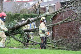 Boom belandt op schuurtje in Weesp