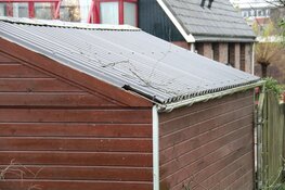 Boom belandt op schuurtje in Weesp