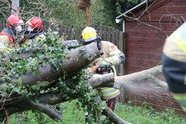 Boom belandt op schuurtje in Weesp