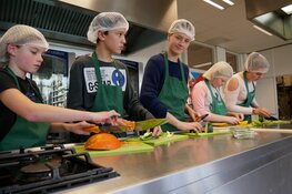 Online kennismaken met kleinschalig en groen vmbo Clusius College