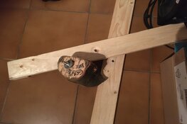 Duurzaam kerstboomkruis erg moeizaam in hergebruik?!