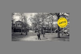 Financiële situatie ARTIS zorgwekkend