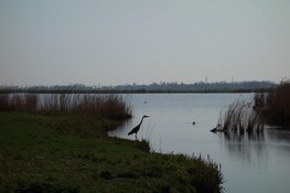 Het Fietsrondje van de maand februari is Amsterdam-Waterland