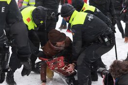 Politie grijpt in bij verboden demonstratie Museumplein