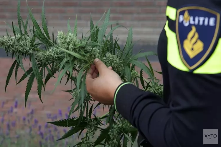 Hennepplantage Ouderkerk a/d Amstel: getoonde verdachte meldt zich