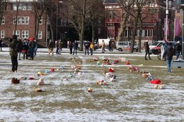 Toch weer tientallen corona-demonstranten op Museumplein