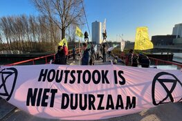 Protest bij Bio Massa Centrale in Diemen