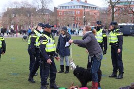 Demonstraties op Museumplein en Westerpark: eerste aanhoudingen verricht