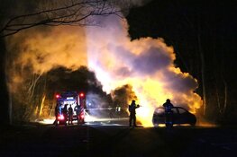 Vlammen in Amsterdamse Bos: auto in brand