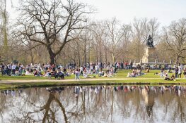 Enorme rommel in Vondelpark na ontruiming