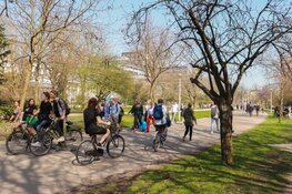 Enorme rommel in Vondelpark na ontruiming