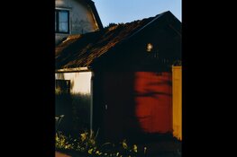 De Van Ostade Biënnale II