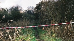 17 jaar zoeken naar ‘de Amerikaan’: verdachte aangehouden voor dood Yvette Looijs (2003)