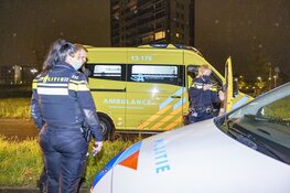 Automobilist botst tegen boom op De Alpen in Amsterdam