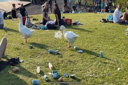 Gezellige drukte op Schinkeleilanden, maar ook heel veel troep