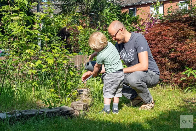 Plant geen olijfboom in je tuin, maar kies voor vlinders en bijen
