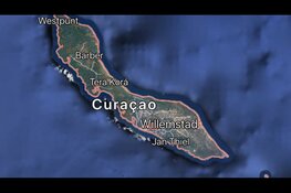 Vermoedelijke schutter van Mohammed Bouchiki aangehouden