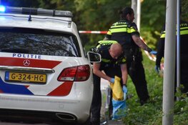 Messen gebruikt bij grote vechtpartij in park in Amsterdam, vier aanhoudingen