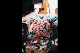 Schilderen op nummer voor volwassenen