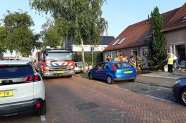 Conifeer vat vlam in Katerstraat