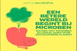 Een betere wereld begint bij microben