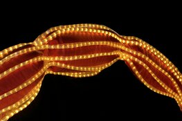 Een betere wereld begint bij microben