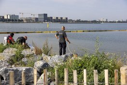 Brandweerduiker doet onderzoek naar mogelijk te water geraakt persoon
