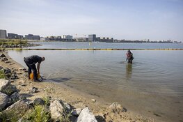 Brandweerduiker doet onderzoek naar mogelijk te water geraakt persoon