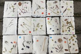 Workshops papier maken in Zee- en Havenmuseum
