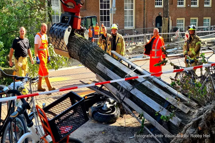 Boom valt op tramleiding op de Nieuwezijds Voorburgwal