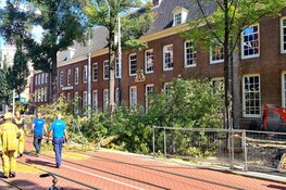 Boom valt op tramleiding op de Nieuwezijds Voorburgwal