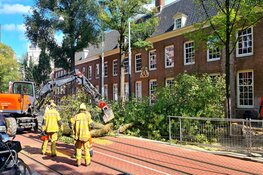 Boom valt op tramleiding op de Nieuwezijds Voorburgwal