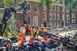 Boom valt op tramleiding op de Nieuwezijds Voorburgwal