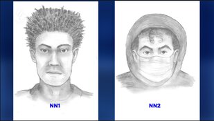 Gezocht: Gewapende en gewelddadige woningoverval Arenborg