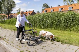 Stichting OOPOEH organiseert dierendagwandeling met koffie voor 55-plussers die hun hondje missen