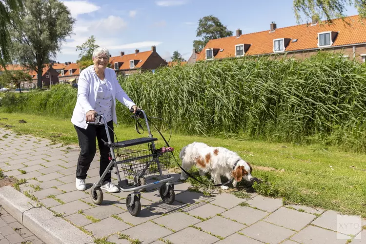 Stichting OOPOEH organiseert dierendagwandeling met koffie voor 55-plussers die hun hondje missen