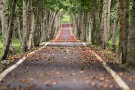 Alle facetten van herfst komen aan bod deze week