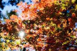 Droger herfstweer op komst