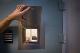 Gevangenisstraf geëist tegen “gehaaide” phishingverdachten