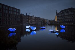 Amsterdam Light Festival viert jubileum met hoogtepunten uit vorige edities