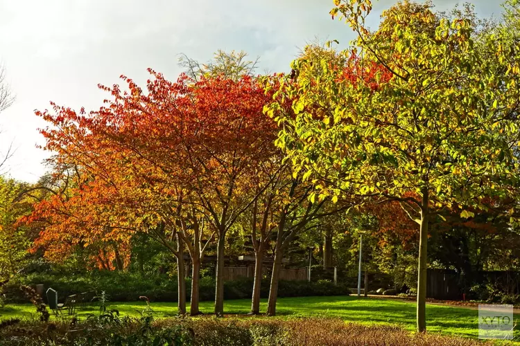 Meer dan 10 miljoen euro voor Amsterdamse parken en groen