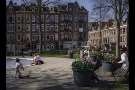 Tulp Festival geeft kleur aan Amsterdamse straten