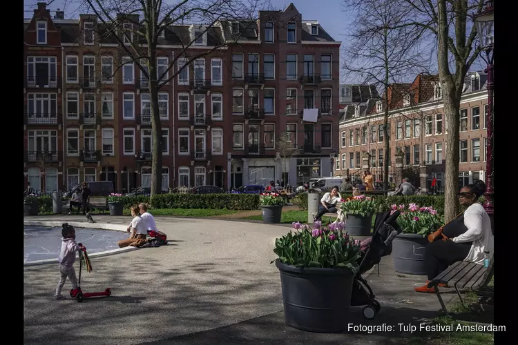 Tulp Festival geeft kleur aan Amsterdamse straten