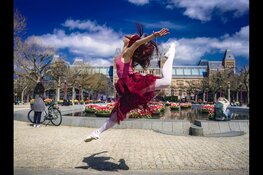 Tulp Festival geeft kleur aan Amsterdamse straten