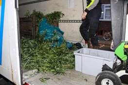 Hennepplantage ontdekt in Weesp, drie personen aangehouden