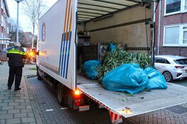 Hennepplantage ontdekt in Weesp, drie personen aangehouden
