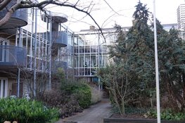 Grootschalig onderzoek nadat politie dode vrouw vindt in woning in Zuid