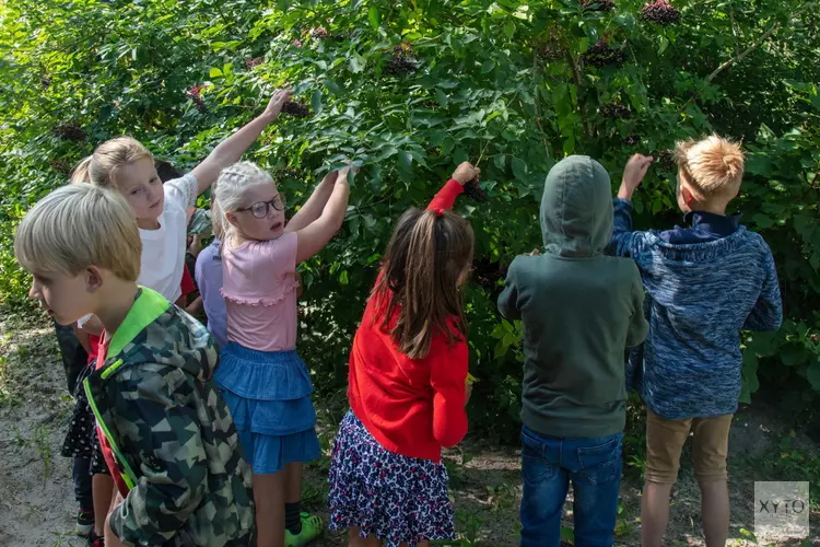 Gezamenlijk schooltuinenproject Almere en Amsterdam bij Floriade Expo 2022