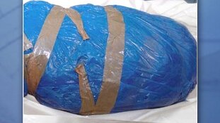 Cold caseteam onderzoekt vondst van romp